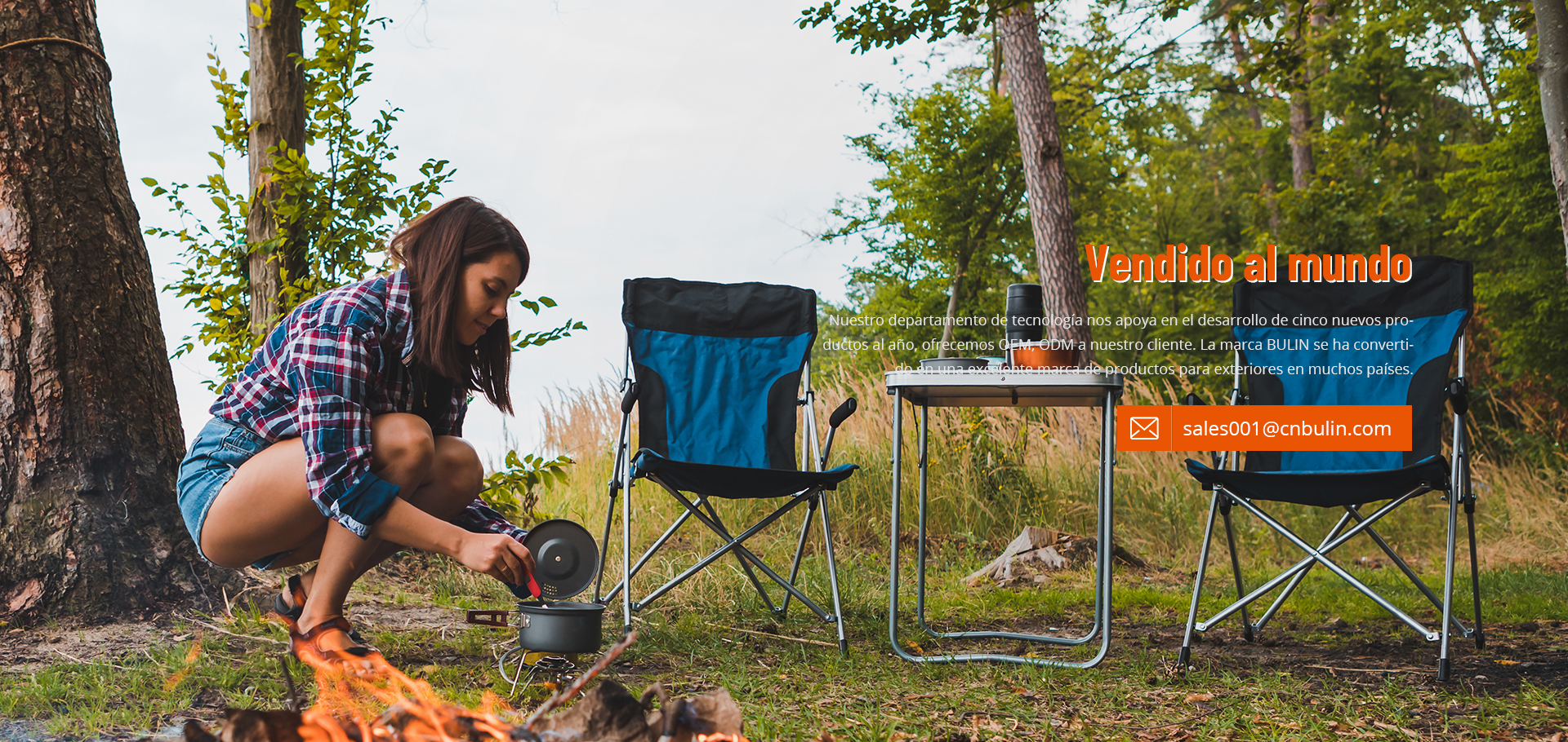 camping gas stove